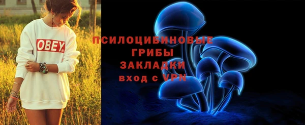 гидропоника Нязепетровск