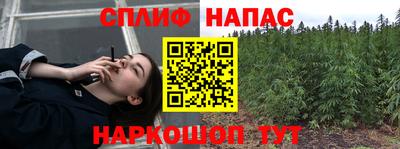 гидропоника Гусев