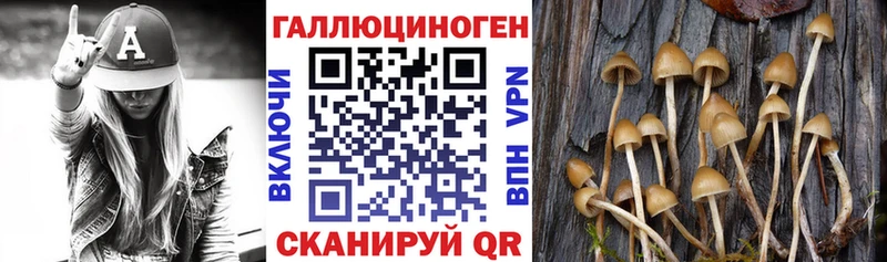 продажа наркотиков  Сальск  Галлюциногенные грибы Cubensis 