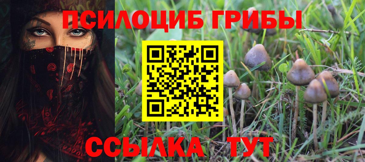 Сальск  Псилоцибиновые грибы Magic Shrooms  Вход с VPN  Псилоцибиновые грибы Cubensis 